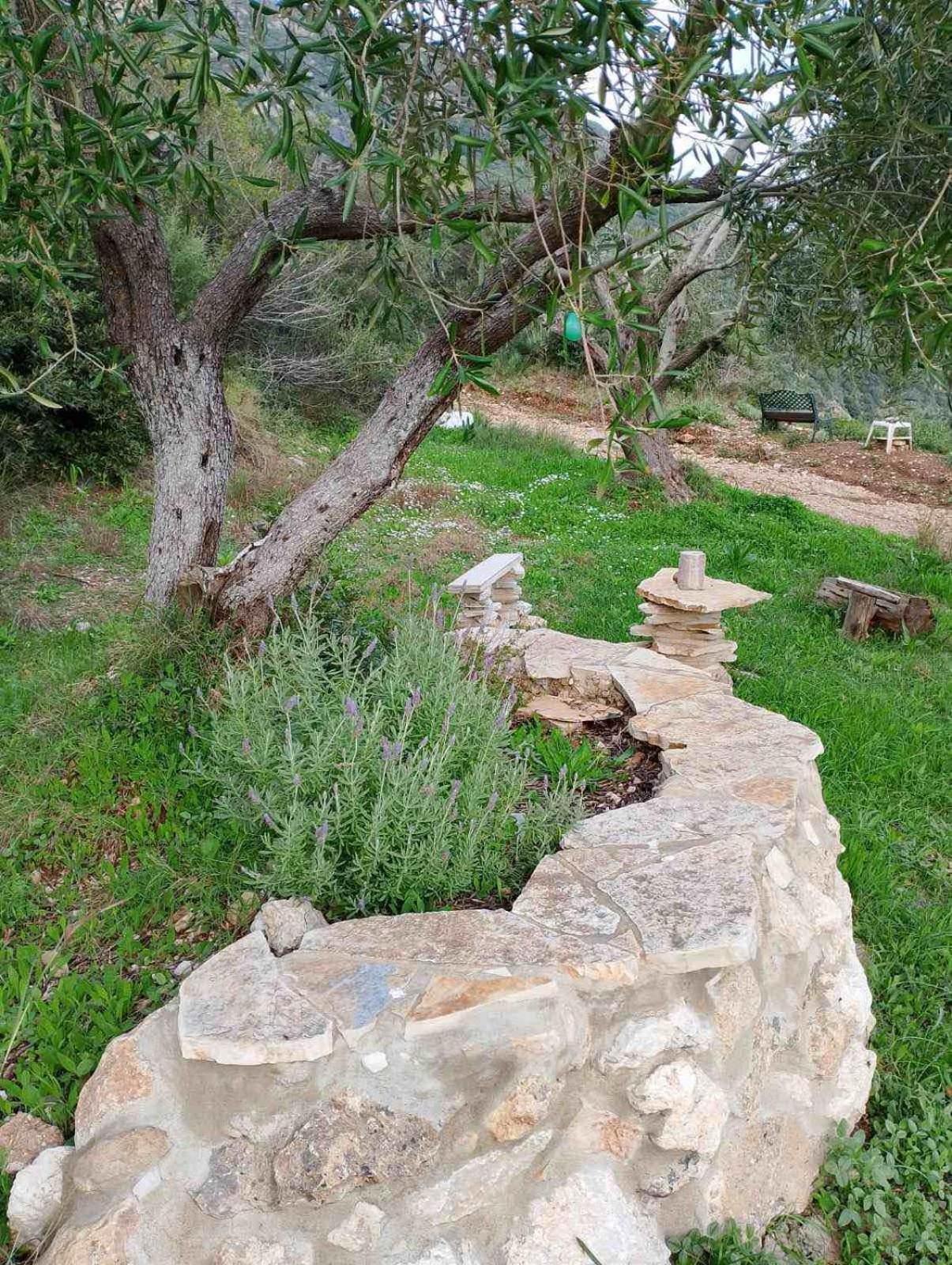 Terraoliva&Herbs Vatos Exterior photo