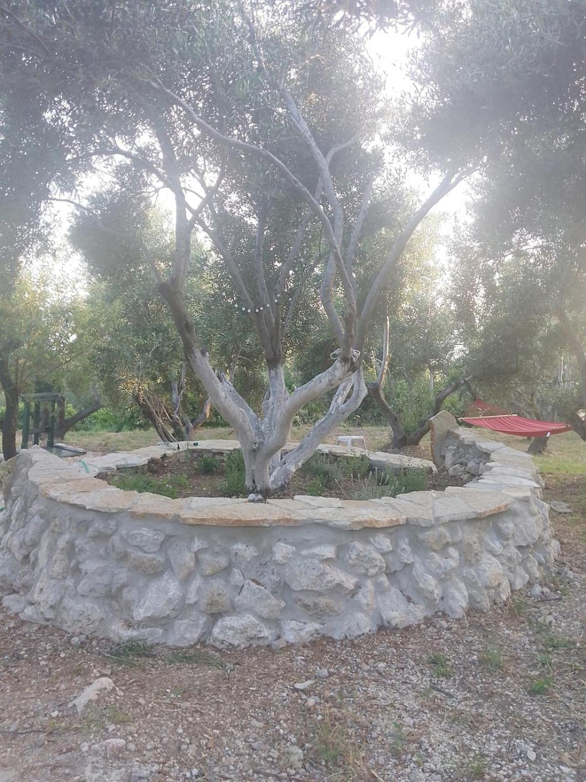 Terraoliva&Herbs Vatos Exterior photo